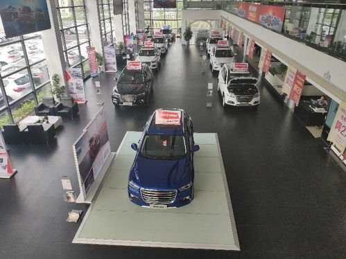 汽車(chē)銷(xiāo)售行業(yè)的發(fā)展與挑戰(zhàn)